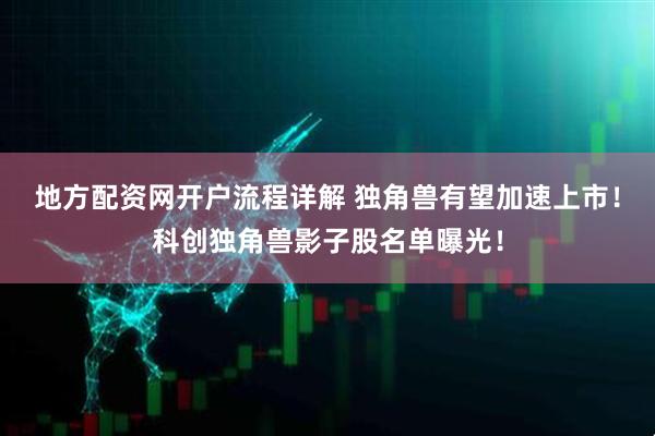 地方配资网开户流程详解 独角兽有望加速上市！科创独角兽影子股名单曝光！